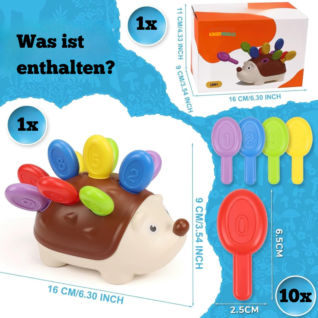 Holz Igel Spielzeug für Feinmotorik – Montessori Spielzeug ab 1 Jahr