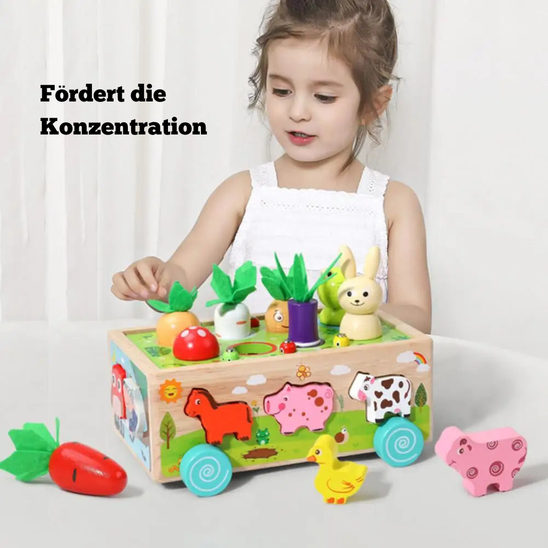 Holz Steckspiel Karotten – Montessori Lernspielzeug für Kinder ab 1 Jahr