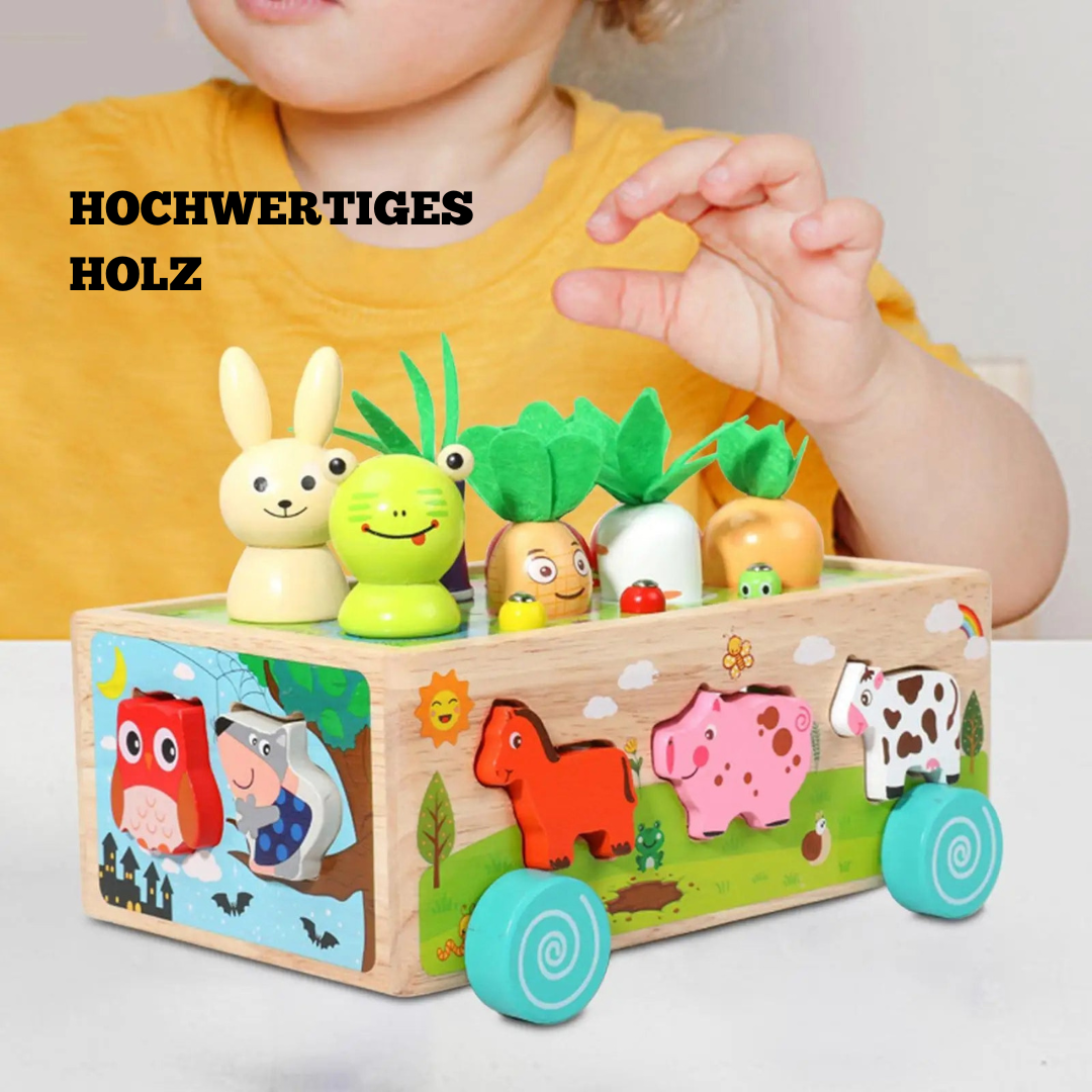 Holz Steckspiel Karotten – Montessori Lernspielzeug für Kinder ab 1 Jahr