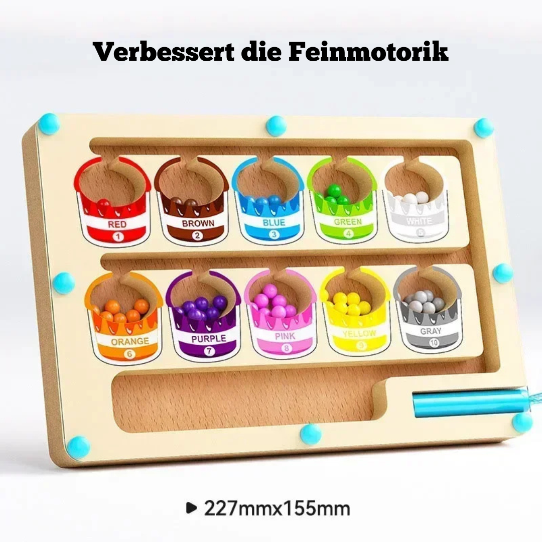 Holz Farbsortierspiel – Montessori Lernspielzeug für Kinder ab 3 Jahren