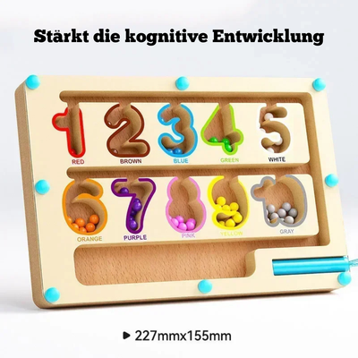 Holz Farbsortierspiel – Montessori Lernspielzeug für Kinder ab 3 Jahren