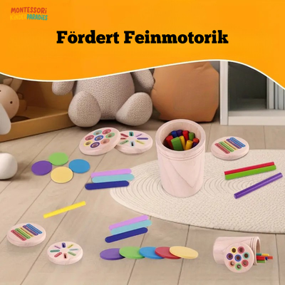 Holzspielzeug Farbsortierung – Montessori Lernspielzeug für Kinder ab 3 Jahren